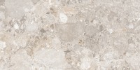 Керамогранит 120x60 8.5мм NTTVL99846D Terrazzo матовый NT Ceramic