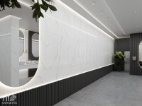 Керамогранит 120x60 10.5мм NTT9106P Bright and Shiny полированный NT Ceramic