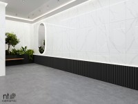 Керамогранит 120x60 10.5мм NTT9106P Bright and Shiny полированный NT Ceramic