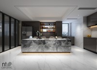 Керамогранит 120x60 10.5мм NTT9106P Bright and Shiny полированный NT Ceramic