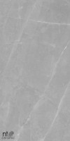 Керамогранит 120x60 8.5мм NTT99617M Granite матовый NT Ceramic Керамогранит 120x60 8.5мм NTT99617M Granite матовый NT Ceramic