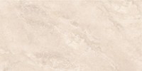 Керамогранит 120x60 9.5мм NTT9514AC Natural Stone матовый NT Ceramic