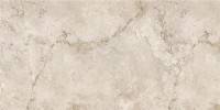 Керамогранит 120x60 9.5мм NTT9519AC Natural Stone матовый NT Ceramic