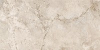 Керамогранит 120x60 9.5мм NTT9519AC Natural Stone матовый NT Ceramic