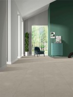 Керамогранит 120x60 9.5мм NTT9516AC Natural Stone матовый NT Ceramic