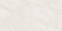 Керамогранит 120x60 9.5мм NTT9513AC Natural Stone матовый NT Ceramic