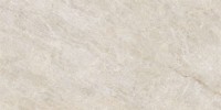 Керамогранит 120x60 9.5мм NTT9512AC Natural Stone матовый NT Ceramic