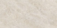 Керамогранит 120x60 9.5мм NTT9512AC Natural Stone матовый NT Ceramic