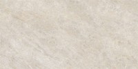 Керамогранит 120x60 9.5мм NTT9512AC Natural Stone матовый NT Ceramic