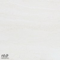 Керамогранит 60x60 9.5мм ZS6NTT9701M Для улицы матовый NT Ceramic Керамогранит 60x60 9.5мм ZS6NTT9701M Для улицы матовый NT Ceramic