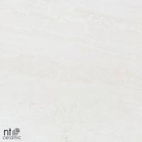 Керамогранит 60x60 9.5мм ZS6NTT9701M Для улицы матовый NT Ceramic Керамогранит 60x60 9.5мм ZS6NTT9701M Для улицы матовый NT Ceramic