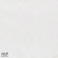 Керамогранит 60x60 9.5мм ZS6NTT9701M Для улицы матовый NT Ceramic Керамогранит 60x60 9.5мм ZS6NTT9701M Для улицы матовый NT Ceramic