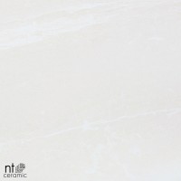 Керамогранит 60x60 9.5мм ZS6NTT9701M Для улицы матовый NT Ceramic Керамогранит 60x60 9.5мм ZS6NTT9701M Для улицы матовый NT Ceramic