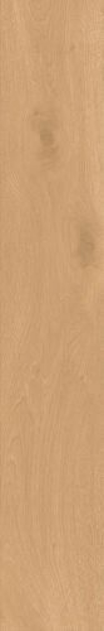 Керамогранит Atlas Concorde Entice Pale Oak Natural 20x120 Керамогранит Atlas Concorde Entice Pale Oak Natural 20x120