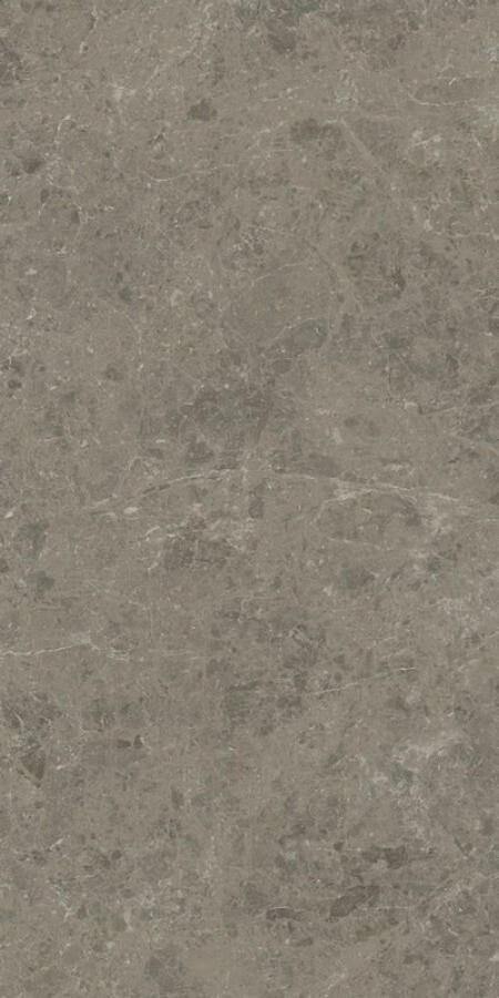 Керамогранит Atlas Concorde Marvel Meraviglia Grigio Elegante 60x120 Lappato Керамогранит Atlas Concorde Marvel Meraviglia Grigio Elegante 60x120 Lappato