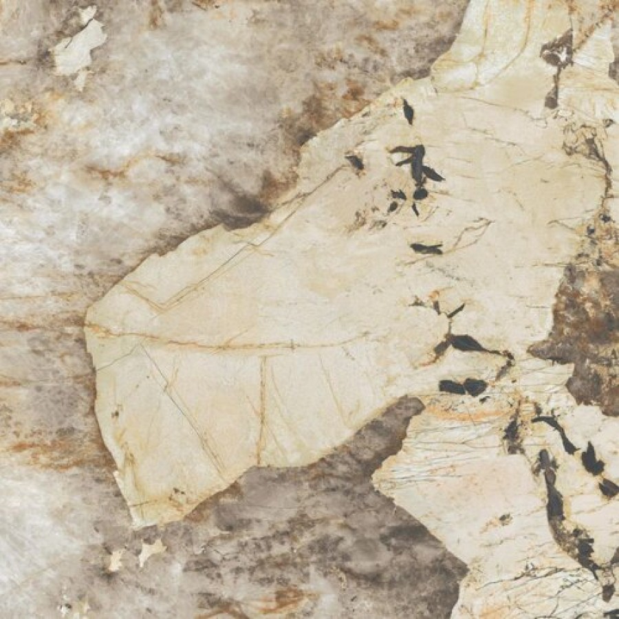 Керамогранит Atlas Concorde Marvel Desert Soul 120x120 Lappato Керамогранит Atlas Concorde Marvel Desert Soul 120x120 Lappato