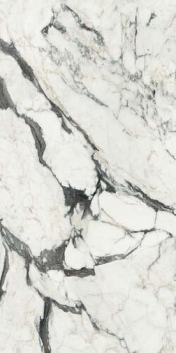 Керамогранит Rex Ceramiche BIJOUX CALACATTA ALTISSIMO BLANC GLOSSY 6MM 120X280 R Керамогранит Rex Ceramiche BIJOUX CALACATTA ALTISSIMO BLANC GLOSSY 6MM 120X280 R