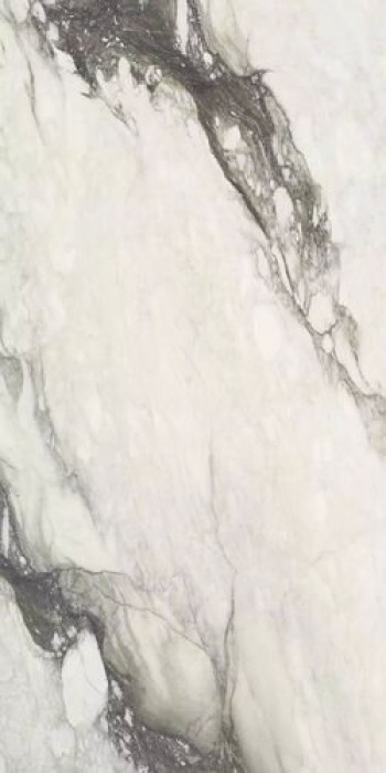 Керамогранит Rex Ceramiche ETOILE RENOIR GLOSSY 6MM 120X280 RET Керамогранит Rex Ceramiche ETOILE RENOIR GLOSSY 6MM 120X280 RET