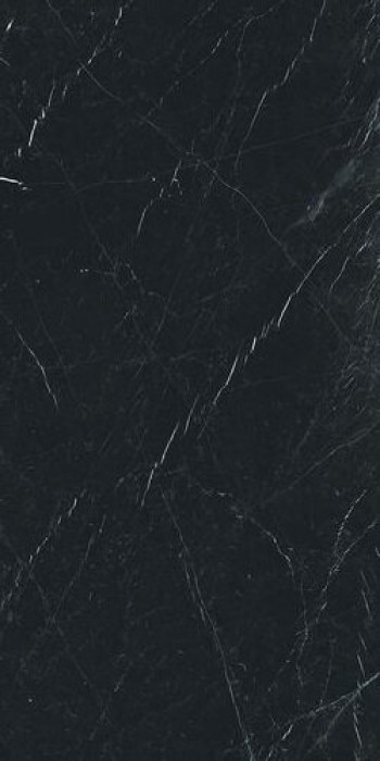 Плитка Rex Ceramiche I CLASSICI MARQUINIA 6MM GLOSSY 120X240 R Плитка Rex Ceramiche I CLASSICI MARQUINIA 6MM GLOSSY 120X240 R