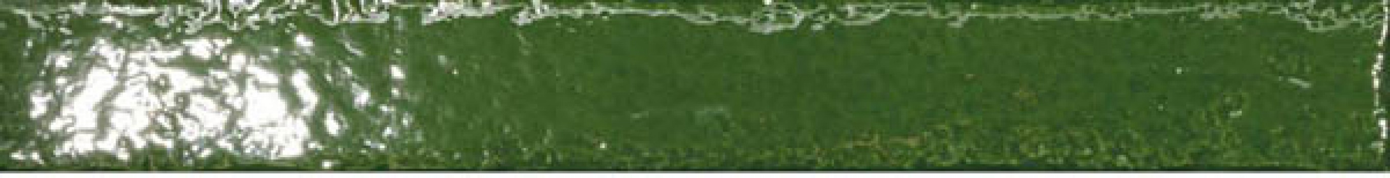 Плитка 40x5 Марбелла Калаонда зеленая 1 глянцевая Monopole Плитка 40x5 Марбелла Калаонда зеленая 1 глянцевая Monopole