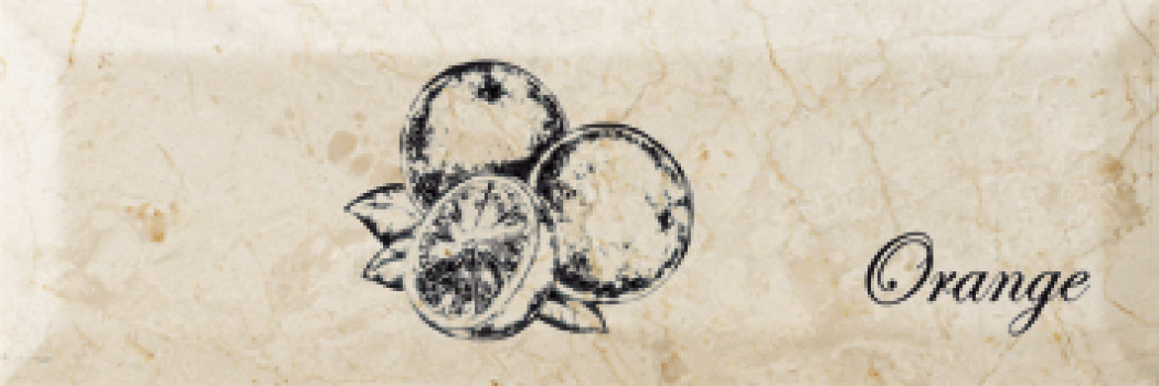 Плитка декор 30x10 Fruit Mistral Orange глянцевая Monopole Плитка декор 30x10 Fruit Mistral Orange глянцевая Monopole