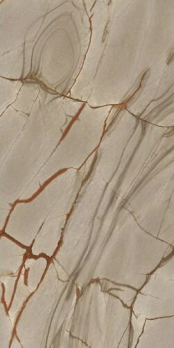 Керамогранит Casa Dolce Casa NATURE MOOD RAINFOREST GLOSSY 9MM 60X120 RE Керамогранит Casa Dolce Casa NATURE MOOD RAINFOREST GLOSSY 9MM 60X120 RE