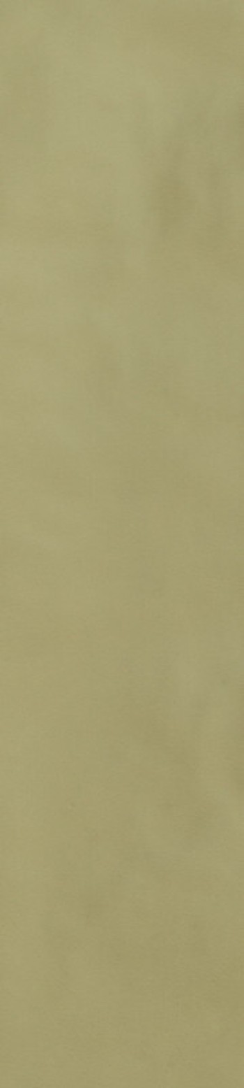 Керамогранит Casa Dolce Casa SENSI COLORE SALVIA GLOSSY 5,7X23,2 Керамогранит Casa Dolce Casa SENSI COLORE SALVIA GLOSSY 5,7X23,2