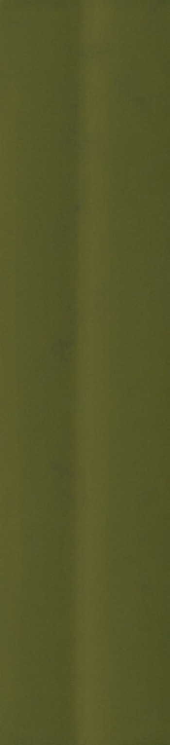 Плитка Casa Dolce Casa SENSI COLORE MUSCHIO GLOSSY ONDUL 5,7X23,2 Плитка Casa Dolce Casa SENSI COLORE MUSCHIO GLOSSY ONDUL 5,7X23,2