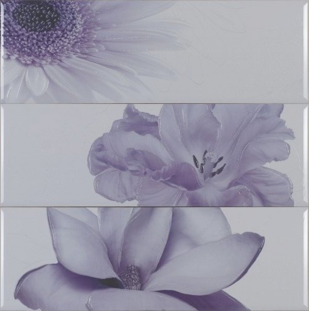 Плитка Chloe Lila D-930 (3pzs) 75х75 глянцевая Myr ceramica Плитка Chloe Lila D-930 (3pzs) 75х75 глянцевая Myr ceramica