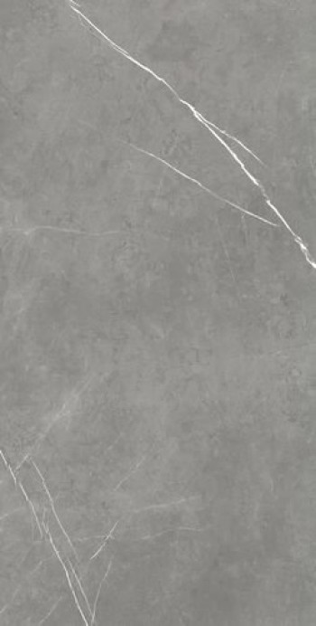 Керамогранит Атлас Конкорд Forte Dei Marmi Elegant Grey Rett 80x160 Керамогранит Атлас Конкорд Forte Dei Marmi Elegant Grey Rett 80x160