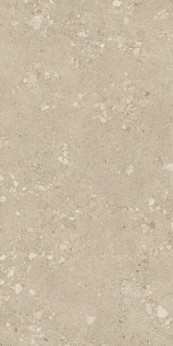 Керамогранит Атлас Конкорд Rinascente Fusion Agglomerate Light 60x120 Ринашенте Фьюжн Аггломерат Лайт 60Х120 (610010002991) Керамогранит Атлас Конкорд Rinascente Fusion Agglomerate Light 60x120 Ринашенте Фьюжн Аггломерат Лайт 60Х120 (610010002991)