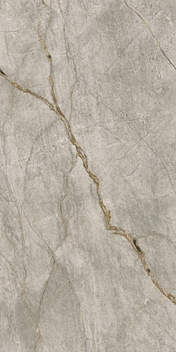 Керамогранит Атлас Конкорд 120x60 Empire Silver Root Matte 610010002187 120x60 Керамогранит Атлас Конкорд 120x60 Empire Silver Root Matte 610010002187 120x60