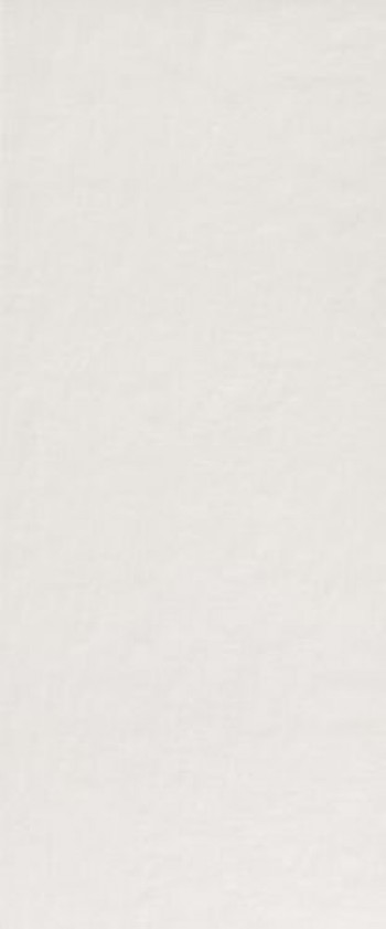Плитка Fap Ceramiche MILANO MOOD 50X120 GHIACCIO MATT Плитка Fap Ceramiche MILANO MOOD 50X120 GHIACCIO MATT