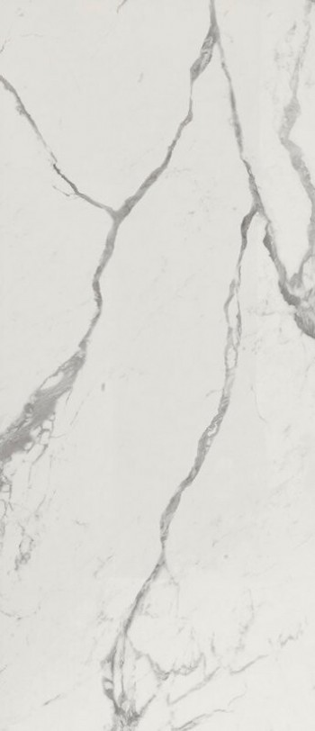 Керамогранит Fap Ceramiche ROMA GOLD 120X278 CARRARA SUPERIORE BRILLANTE Керамогранит Fap Ceramiche ROMA GOLD 120X278 CARRARA SUPERIORE BRILLANTE