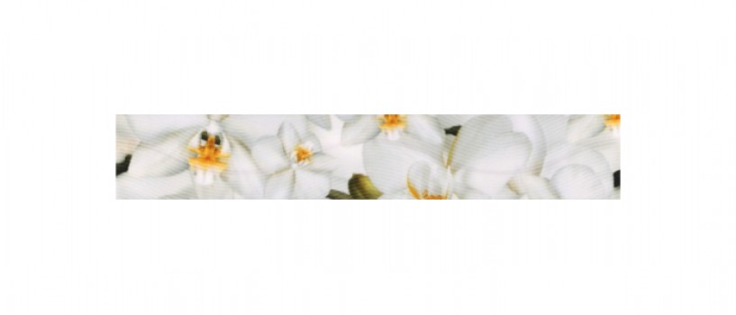 Плитка 40x7 Энигма бордюр 3 цветы глянцевая бежевый Керамин Плитка 40x7 Энигма бордюр 3 цветы глянцевая бежевый Керамин