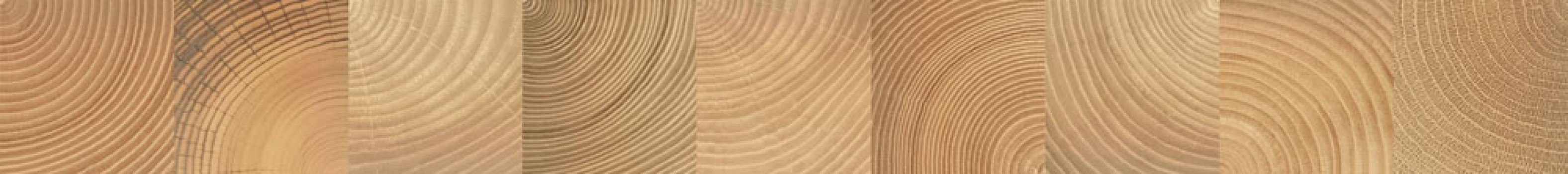 Плитка 75x8 Шиен бордюр 6Д темно-бежевый матовая Керамин Плитка 75x8 Шиен бордюр 6Д темно-бежевый матовая Керамин