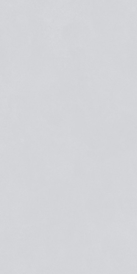 Плитка 80x40 Royal light grey sat. Тон 220202-B51 Bonaparte Плитка 80x40 Royal light grey sat. Тон 220202-B51 Bonaparte