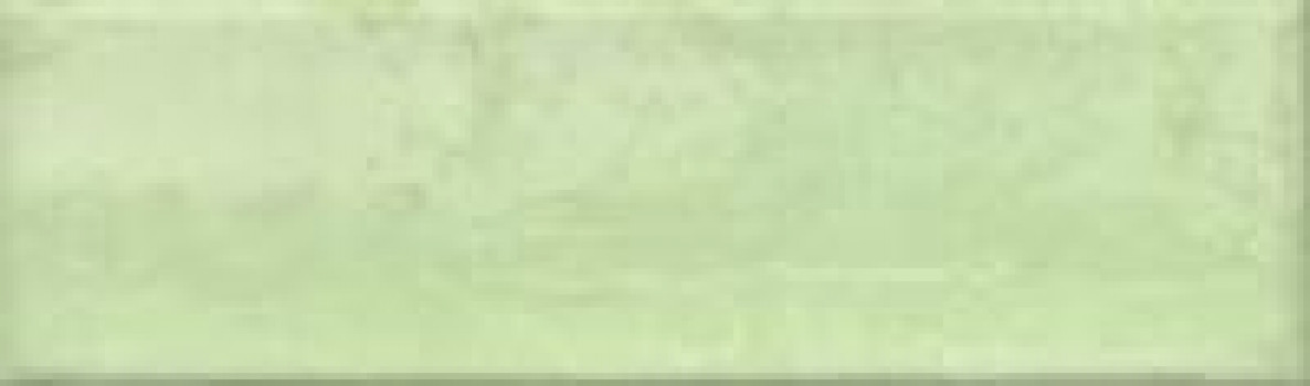 Плитка 20x6 7мм Viva Menta салатовый Bonaparte Плитка 20x6 7мм Viva Menta салатовый Bonaparte