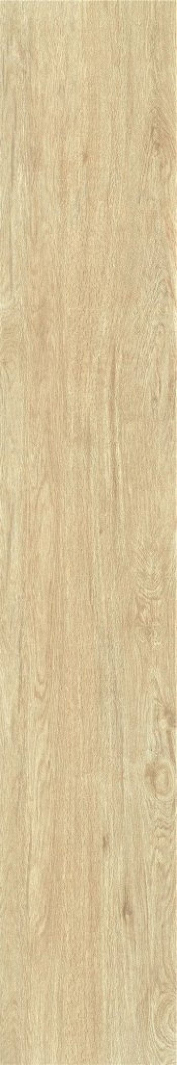 Плитка 120x20 ZC1223096 rect. матовая Тон 1L16-03 Bonaparte Плитка 120x20 ZC1223096 rect. матовая Тон 1L16-03 Bonaparte