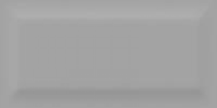 Плитка 200x95 Vernissage Gray матовая 12-01-4-27-20-06-2543 тон 5 Bonaparte Плитка 200x95 Vernissage Gray матовая 12-01-4-27-20-06-2543 тон 5 Bonaparte