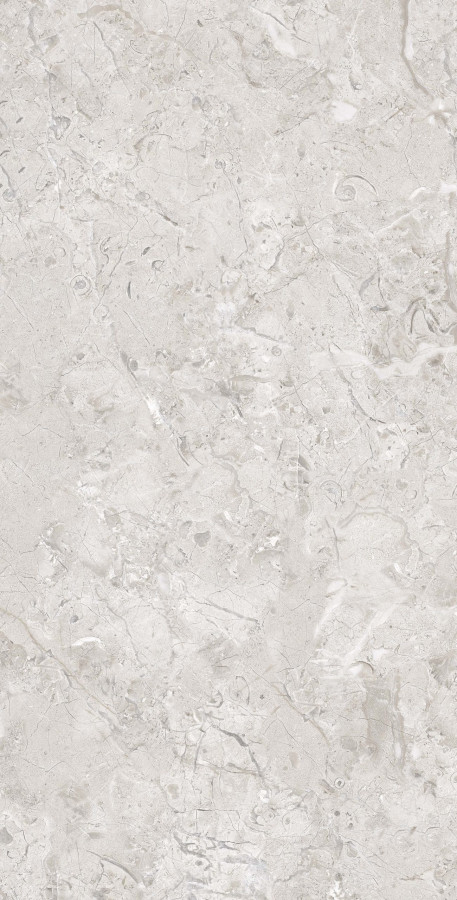 Керамогранит 120x60 Elegance Grey полированная серый 9мм Seratonia Керамогранит 120x60 Elegance Grey полированная серый 9мм Seratonia