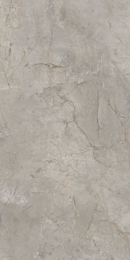 Керамогранит Keope Ceramiche Elements Lux Silver Grey 60X120 Lappato Керамогранит Keope Ceramiche Elements Lux Silver Grey 60X120 Lappato