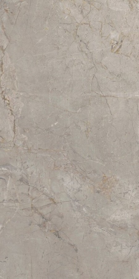 Керамогранит Keope Ceramiche Elements Lux Silver Grey 60X120 NAT Керамогранит Keope Ceramiche Elements Lux Silver Grey 60X120 NAT
