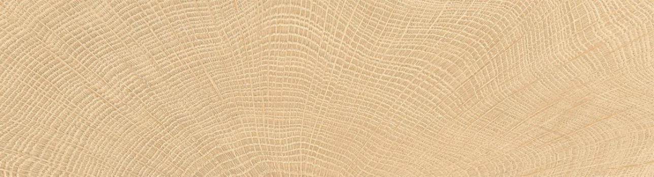 Керамогранит 10x10 Керамогранит Provenza W-Circles матовая коричневый дерево 9.5мм Provenza Керамогранит 10x10 Керамогранит Provenza W-Circles матовая коричневый дерево 9.5мм Provenza