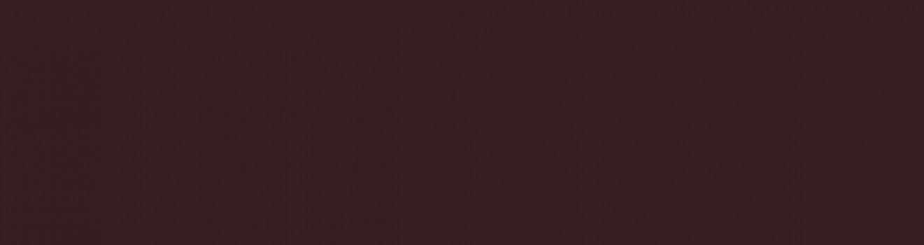 Плитка фасадная 6x24 Natural Brown Elewacja матовая Ceramika Paradyz Плитка фасадная 6x24 Natural Brown Elewacja матовая Ceramika Paradyz